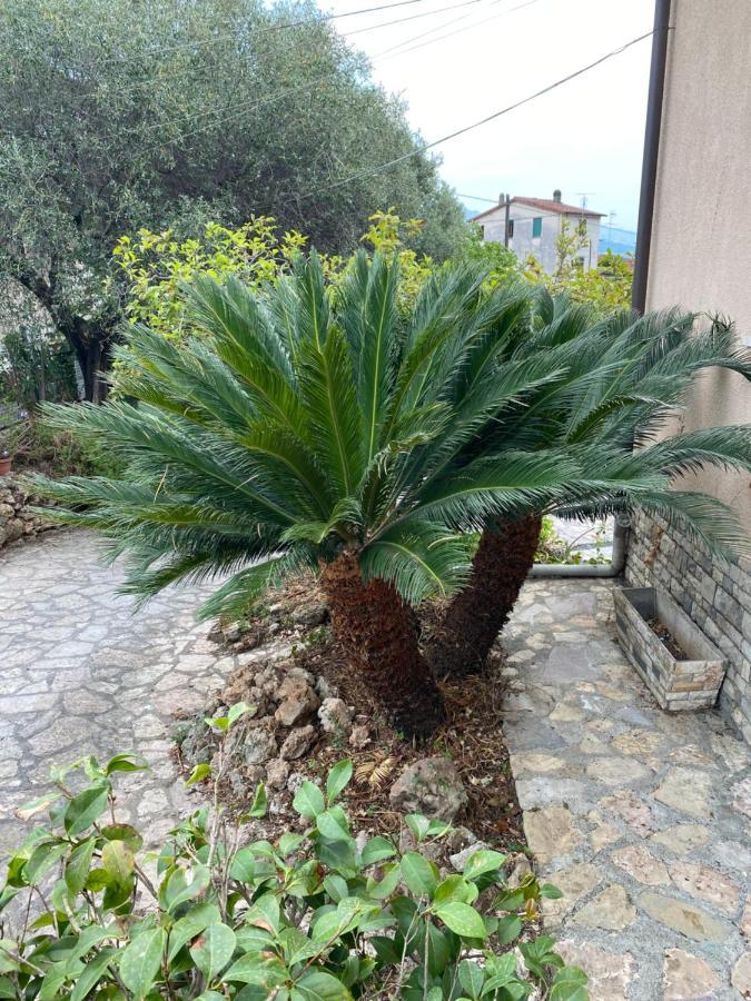 Il Giardino Delle Cycas Apartment Romito Magra Exterior photo